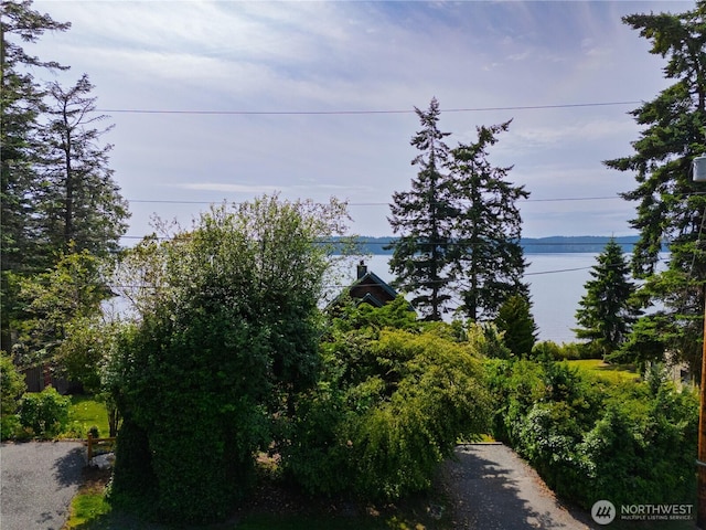 18482 Pull And Be Damned Rd, La Conner, WA 98257 - water view