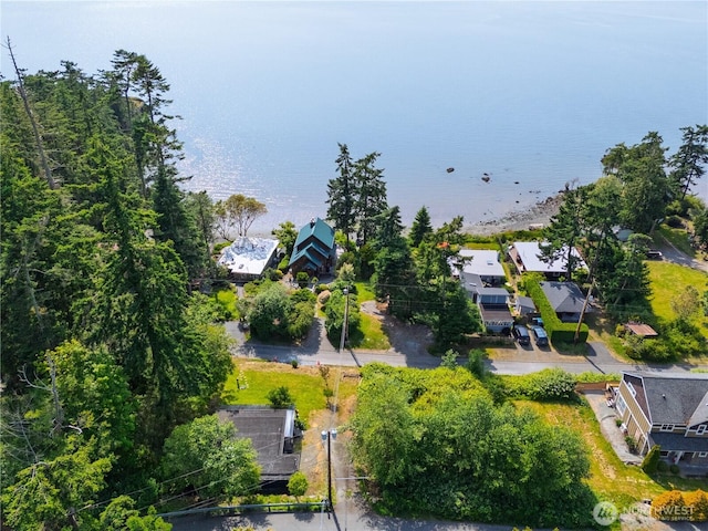 18482 Pull And Be Damned Rd, La Conner, WA 98257 - aerial view of residential area featuring a large body of water