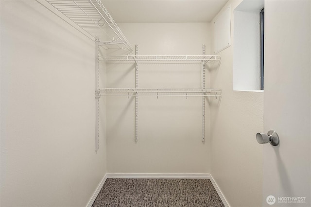 5011 5th Ave NE, Seattle, WA 98105 - spacious closet with carpet flooring