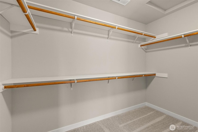 9645 7th Ave SE, Lacey, WA 98513 - spacious closet with carpet floors and attic access