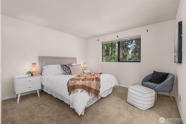 13902 106th Pl NE, Kirkland, WA 98034 - bedroom with carpet flooring and baseboards