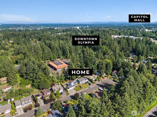 1228 Tabitha Ct NW, Olympia, WA 98502 - drone / aerial view of a heavily wooded area