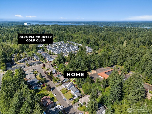 1228 Tabitha Ct NW, Olympia, WA 98502 - aerial view of property's location featuring a heavily wooded area and nearby suburban area