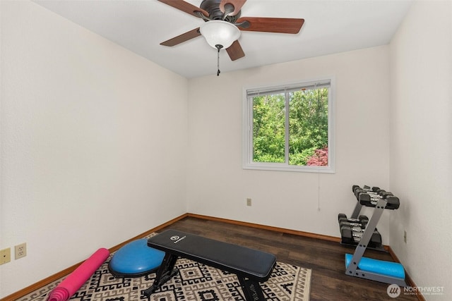 1228 Tabitha Ct NW, Olympia, WA 98502 - exercise room featuring wood finished floors, baseboards, and ceiling fan