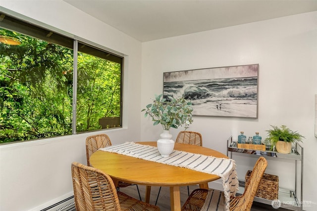 17109 NE 45th St Unit 36, Redmond, WA 98052 - dining area with baseboard heating