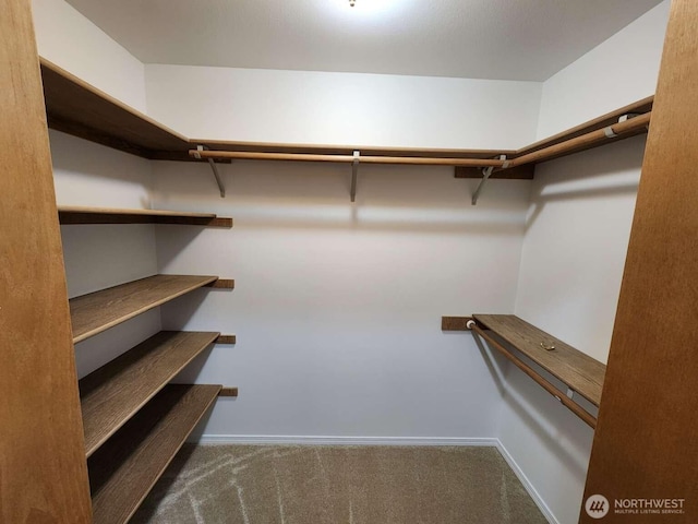 9106 Joelle Ln SE, Olympia, WA 98513 - photo 13