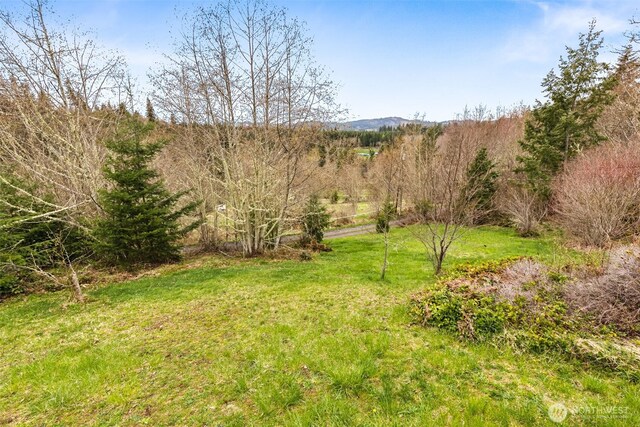 48203 158th Ave E, Eatonville, WA 98328 - photo 24