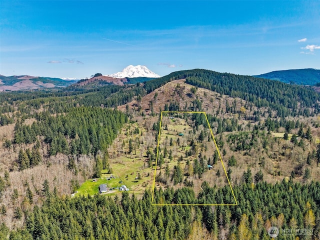 48203 158th Ave E, Eatonville, WA 98328 - photo 33