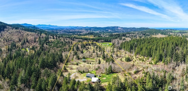 48203 158th Ave E, Eatonville, WA 98328 - photo 36