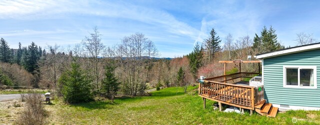 48203 158th Ave E, Eatonville, WA 98328 - photo 27