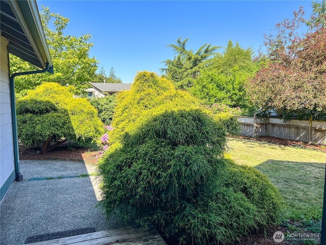 1304 Rosecrans St, Port Townsend, WA 98368 - view of yard