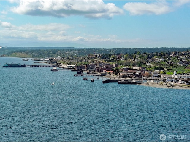 1304 Rosecrans St, Port Townsend, WA 98368 - water view