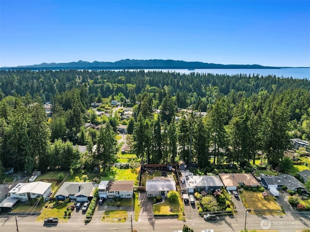 18312 73rd Ave W, Edmonds, WA 98026 - aerial view of a heavily wooded area and a water and mountain view