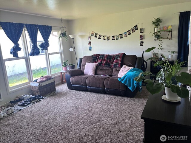 211 Cypress St, Longview, WA 98632 - view of carpeted living area