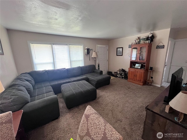 211 Cypress St, Longview, WA 98632 - view of carpeted living area
