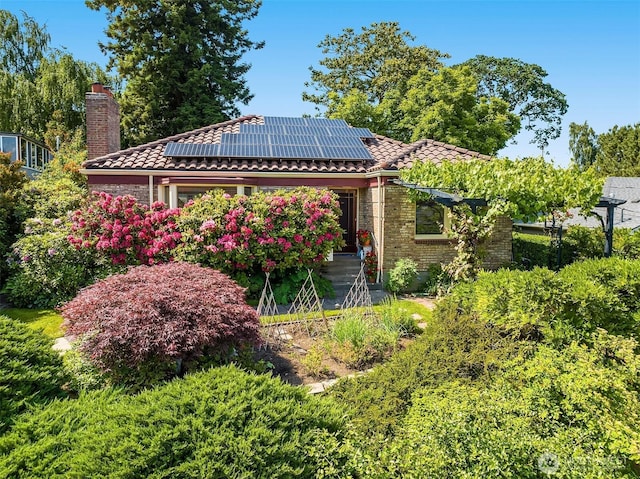 6045 Seward Park Ave S, Seattle, WA 98118 - view of yard