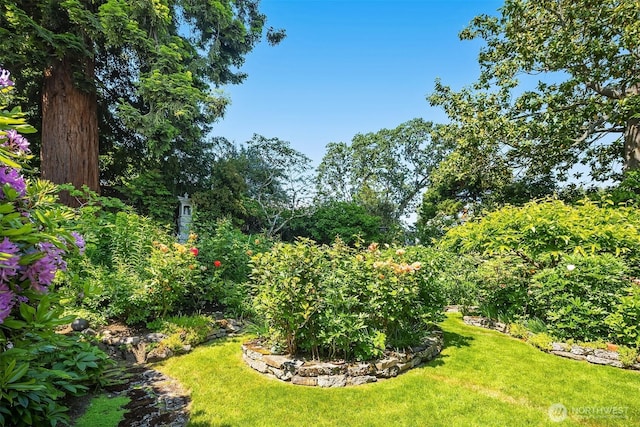 6045 Seward Park Ave S, Seattle, WA 98118 - view of green lawn