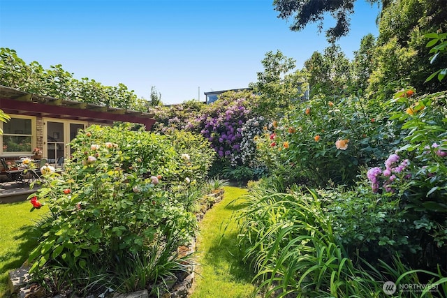 6045 Seward Park Ave S, Seattle, WA 98118 - view of grassy yard