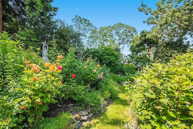 6045 Seward Park Ave S, Seattle, WA 98118 - view of nature