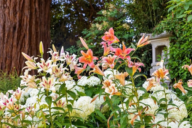 6045 Seward Park Ave S, Seattle, WA 98118 - exterior view