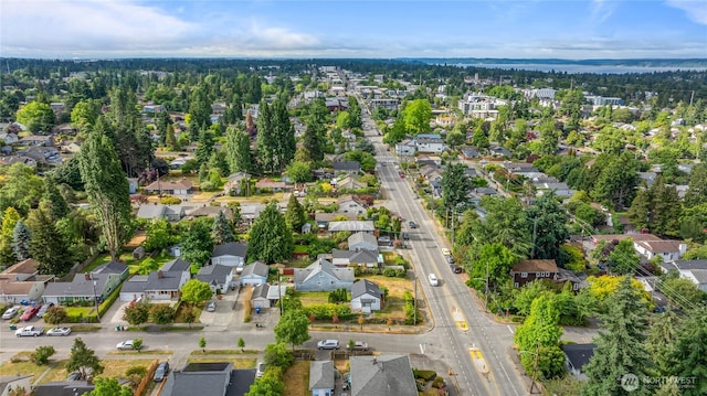 8608 16th Ave SW, Seattle, WA 98106 - aerial overview of property's location with nearby suburban area