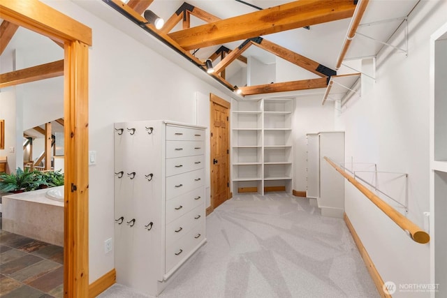 16375 NE 44th Ct, Redmond, WA 98052 - spacious closet with light carpet