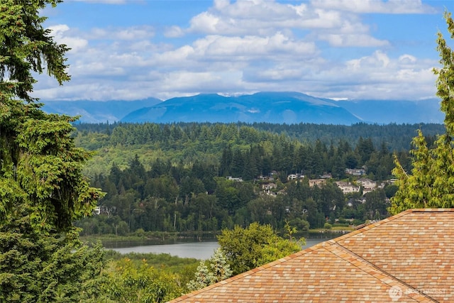 16375 NE 44th Ct, Redmond, WA 98052 - view of mountain backdrop with a forest and a large body of water