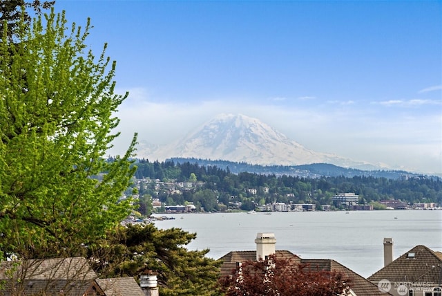 8533 NE Juanita Dr, Kirkland, WA 98034 - mountain view featuring a nearby body of water