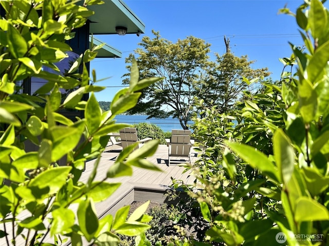 10846 Garden Pl S, Seattle, WA 98178 - photo 22