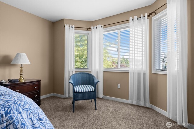 16520 136th Ave E, Puyallup, WA 98374 - bedroom featuring carpet and baseboards