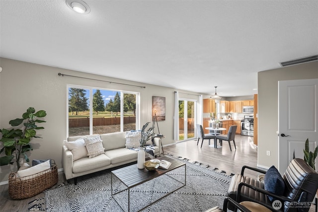15235 105th Ave SE, Yelm, WA 98597 - living area featuring light wood finished floors and baseboards