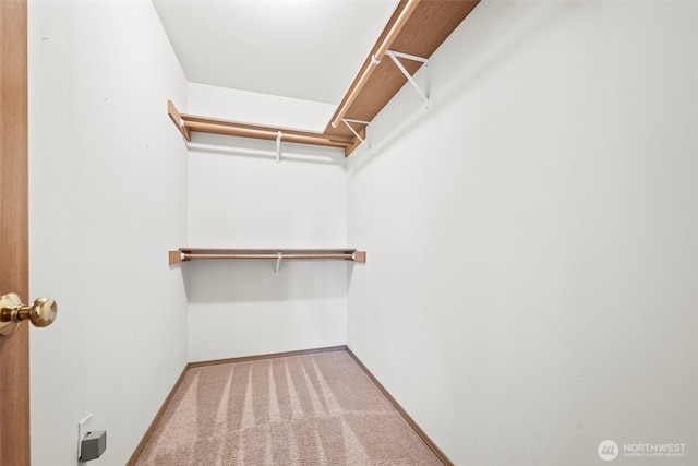 15235 105th Ave SE, Yelm, WA 98597 - walk in closet with carpet floors