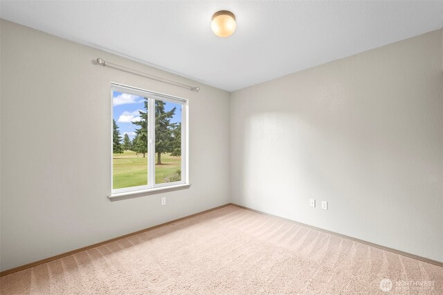 15235 105th Ave SE, Yelm, WA 98597 - unfurnished room with carpet and baseboards