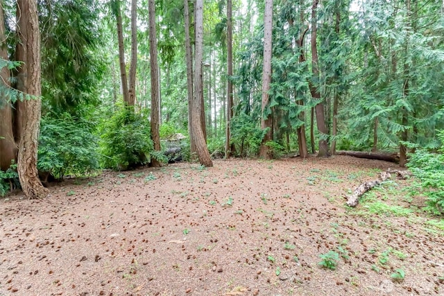 7619 35th St NW, Gig Harbor, WA 98335 - photo 30