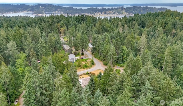 7619 35th St NW, Gig Harbor, WA 98335 - photo 33