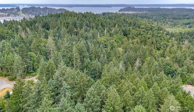 7619 35th St NW, Gig Harbor, WA 98335 - photo 34