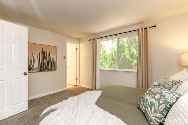 7619 35th St NW, Gig Harbor, WA 98335 - photo 15