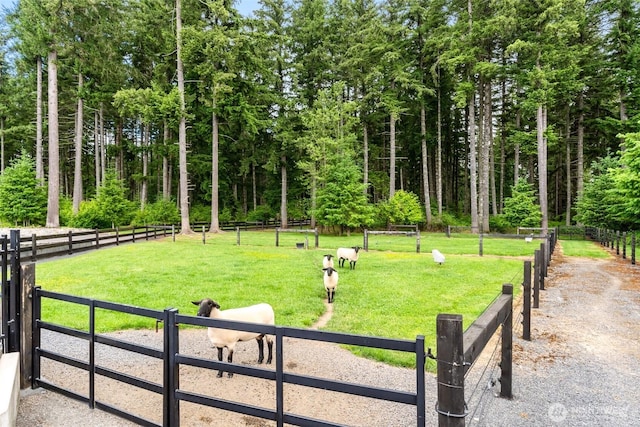 335 Brown Rd, Chehalis, WA 98532 - view of property's community
