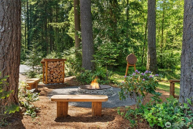 335 Brown Rd, Chehalis, WA 98532 - view of yard with a fire pit and a forest view