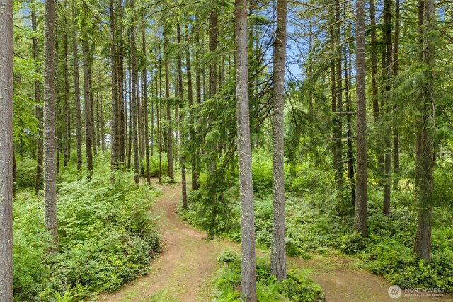 335 Brown Rd, Chehalis, WA 98532 - view of woods