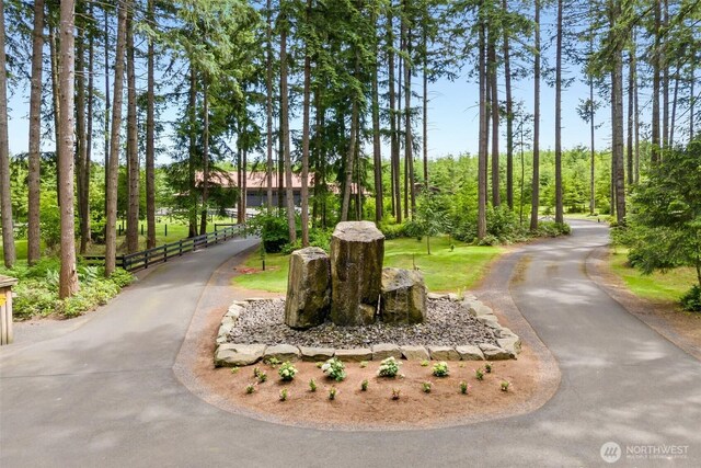 335 Brown Rd, Chehalis, WA 98532 - view of property's community with asphalt driveway