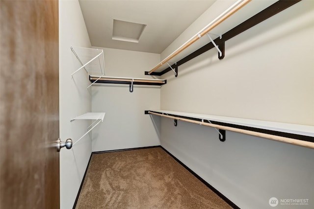 2212 N Creeksedge Way, Ellensburg, WA 98926 - walk in closet with carpet