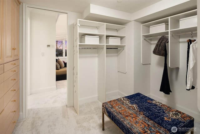 7 10th Ave, Kirkland, WA 98033 - walk in closet featuring light carpet