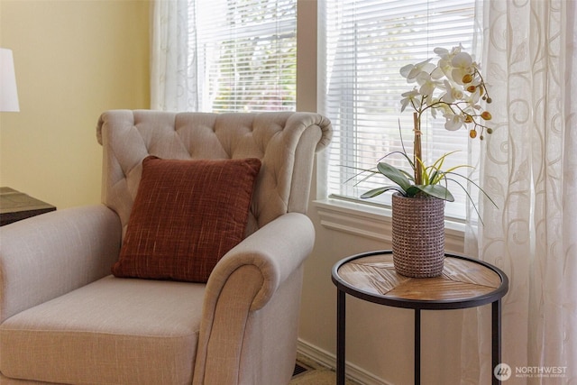 1110 63rd St E Unit 101, Auburn, WA 98092 - living area featuring healthy amount of natural light