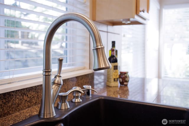 1110 63rd St E Unit 101, Auburn, WA 98092 - kitchen view of a sink