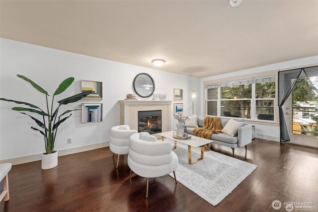 22910 90th Ave W Unit E406, Edmonds, WA 98026 - living area featuring wood finished floors, a glass covered fireplace, and baseboards