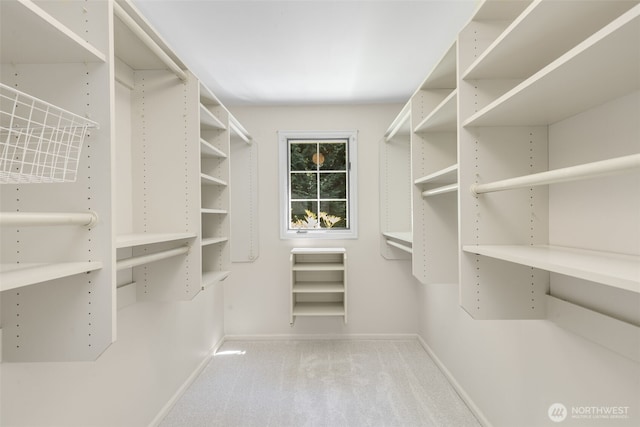 11750 NE 36th Pl, Bellevue, WA 98005 - spacious closet with carpet