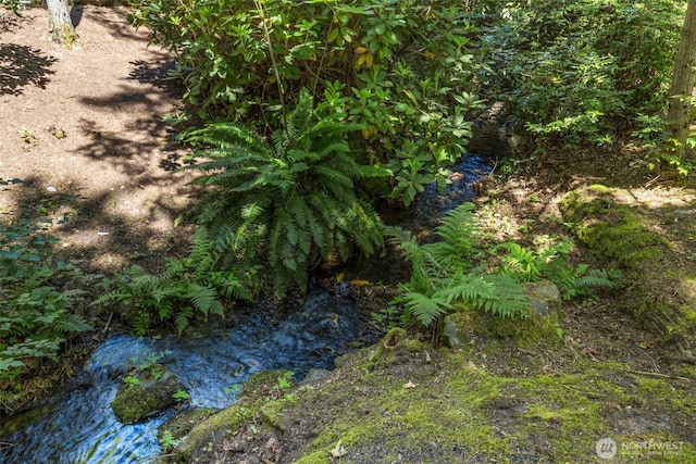 11750 NE 36th Pl, Bellevue, WA 98005 - view of undeveloped land