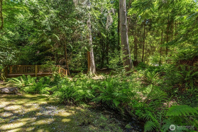 11750 NE 36th Pl, Bellevue, WA 98005 - view of yard featuring a forest view and a wooden deck