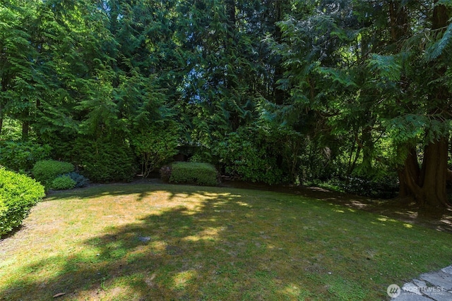 11750 NE 36th Pl, Bellevue, WA 98005 - view of green lawn featuring a wooded view